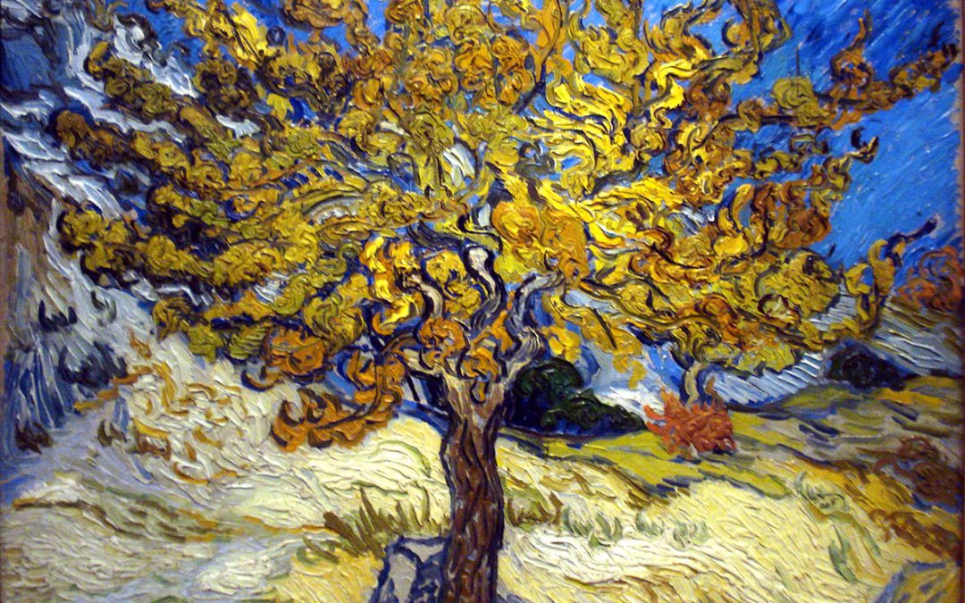 “VINCENT VAN GOGH”: il pittore tormentato ed incompreso. La vicenda umana ed artistica del genio olandese
